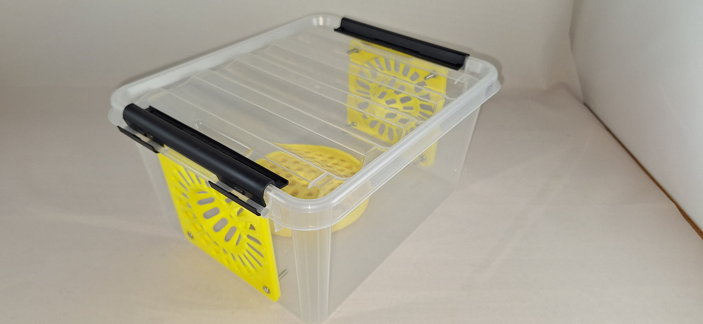 Selectieve lokval : 2 Liter box met 2x 76mm conus, veilige lokpot en trappit.