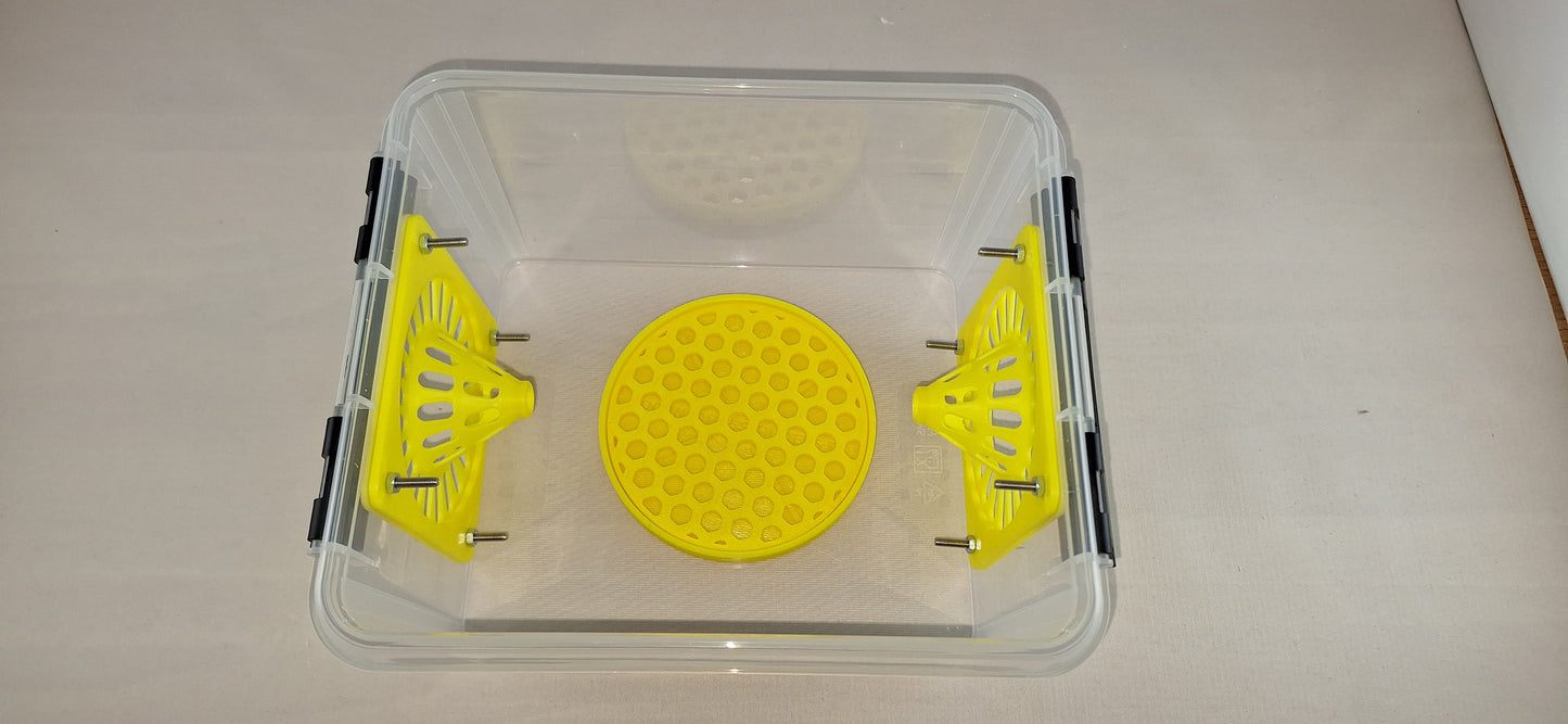 Selectieve lokval : 2 Liter box met 2x 76mm conus, veilige lokpot en trappit.