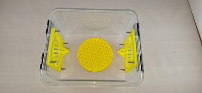 Selectieve lokval : 2 Liter box met 2x 76mm conus, veilige lokpot en trappit.