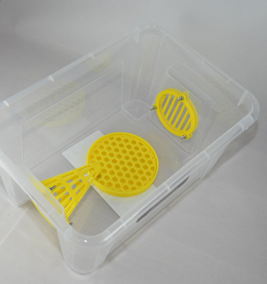 Selectieve lokval : 5 Liter box met 1x 60mm conus, 1x uitgang veilige lokpot en trappit.