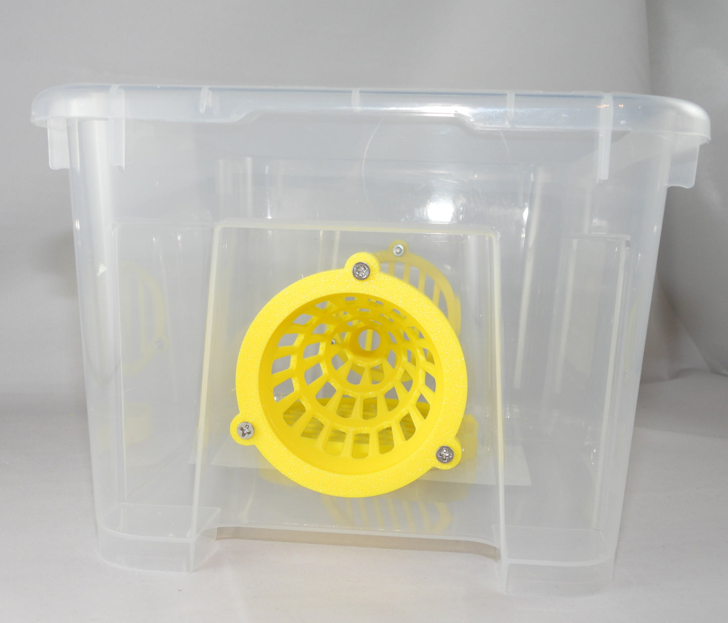 Selectieve lokval : 5 Liter box met 1x 60mm conus, 1x uitgang veilige lokpot en trappit.